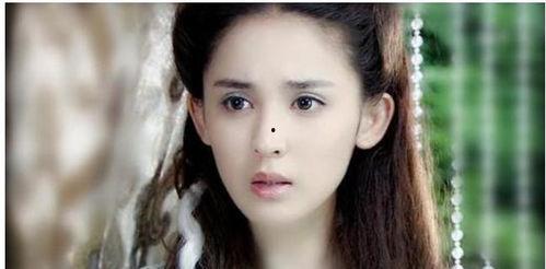 黑暗爆料在线观看免费高清 明星黑料女