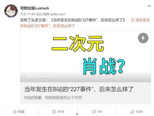 明星黑料网站视频免费 社会热点话题事件,免费视频背后的社会热点与事件风云